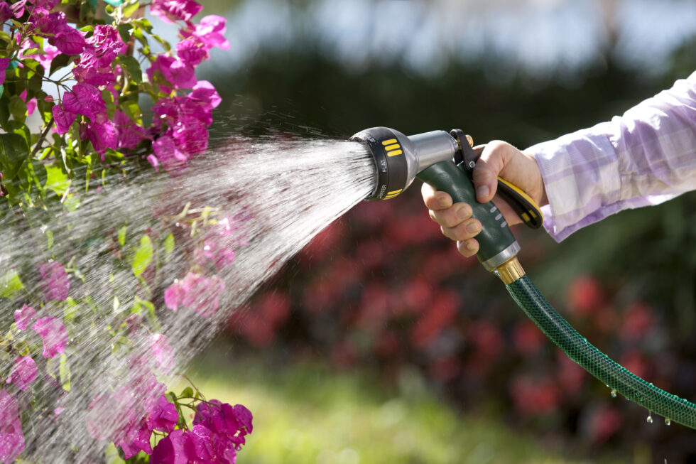 Melnor Tampa Shoot ©Rob Harris-4393