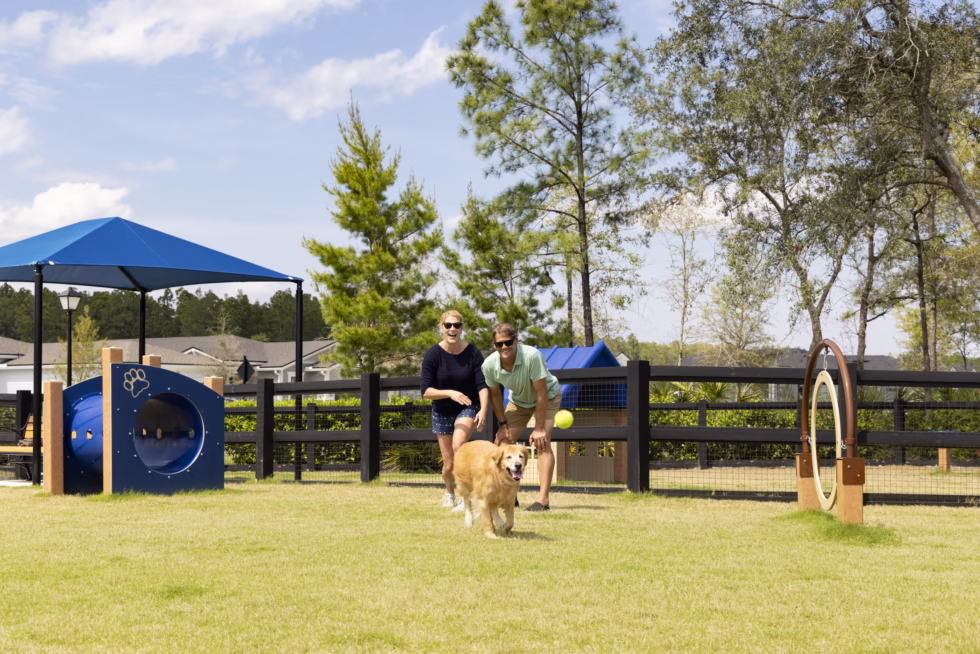 Two people play with a dog in a fenced grassy area with agility equipment and trees, under a clear sky.